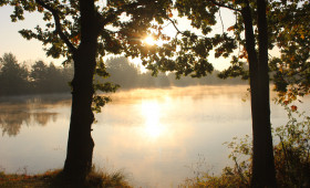 Neuer Monat: Das ändert sich im November