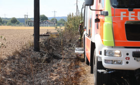 Hitzewelle: So hoch ist die Waldbrandgefahr in der Region Braunschweig