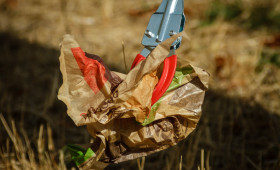 Der Umwelttag in der Gemeinde Sassenburg steht an