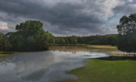 Hochwasser: Einige Pegel in Region Braunschweig haben Warnstufe erreicht
