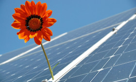 Klimaneutralität Wolfsburg: Umfangreiches Konzept soll Emissionen senken