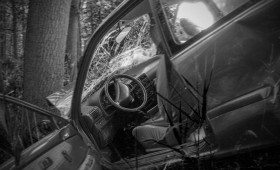 Kreis Wolfenbüttel: Auto kracht gegen Baum - Fahrer (40) tödlich verletzt