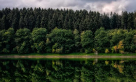 Neues digitales Angebot: Moore, Urwälder und Felsen im Harz neu entdecken