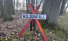 Goslar: Wildtier verursacht Unfall auf der B248