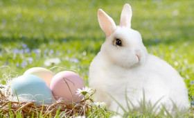 Eier, Küken & Co: Die Osterzeit und ihre Bräuche