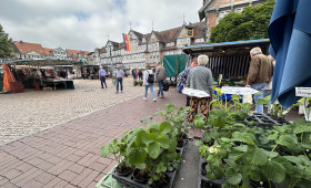 Wolfenbüttel: Verschiebungen beim Wochenmarkt im Oktober