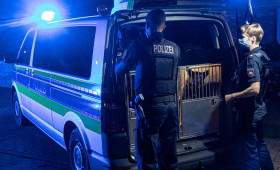 Polizeispürhunde in Niedersachsen vor dem Aus? Gewerkschaft schlägt Alarm