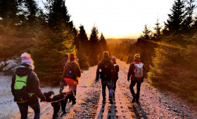 Goslar: „Bewegung für unseren Wald“ geht in die dritte Runde