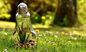 Wolfsburg: Anschlussförderung für Klimaanpassung bewilligt