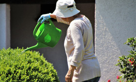 Garten: So gelingt nachhaltiges Wassermanagement im Sommer