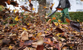 Warnung vor Laubbläsern - Gefahr nicht nur für Tiere