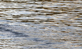 Cyanid im Grundwasser: So ist hier jetzt die Lage in Salzgitter