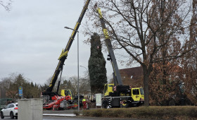 Wolfenbüttel: Weihnachtsbaum vor Jägermeister erstrahlt bald wieder 