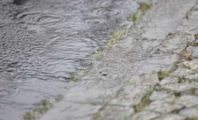 Wetterbericht für Niedersachsen/Bremen (11.11.2025)