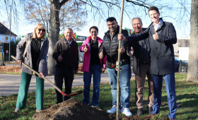 Nachhaltiger Erfolg: Vechelde meistert Baumpflanz-Challenge