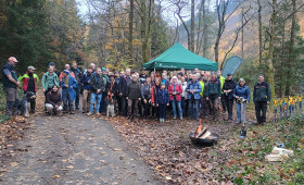 Großes Engagement in Goslar: 1.000 neue Bäume für den Harz