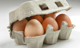 Vogelgrippe: Was man jetzt über Bio-Eier wissen sollte