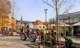 Grüner Wandel: Klimabäume für den Kulturbahnhof Wolfenbüttel