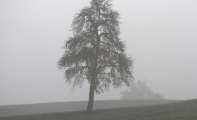 Wetterbericht für Niedersachsen/Bremen (30.12.2025)