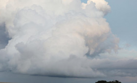 Wetterbericht für Niedersachsen/Bremen (31.12.2025)