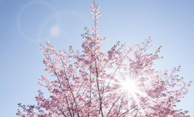 Experten-Tipps zum Frühlingsstart: Sonne gut geschützt genießen