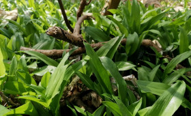 Frisch im Ruhestand: Seniorenbüro hat einen Freizeit-Tipp