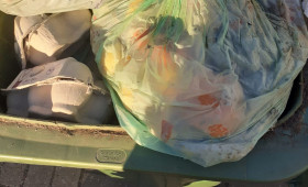 Landkreis Helmstedt schlägt Alarm: Unzählige Fehlbefüllungen im Bioabfall