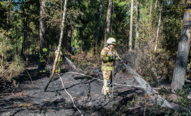 Waldbrand bei Hankensbüttel: Feuer vernichtet 2.500 Quadratmeter Fläche 
