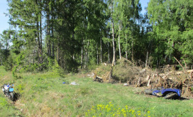 Motorradunfall nahe Braunlage: Fahrer schwer verletzt