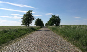 Sonnigster Frühling in Niedersachsen seit Messbeginn