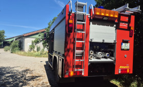 Kreis Gifhorn: Maus löst Feuerwehreinsatz aus und bezahlt mit dem Leben
