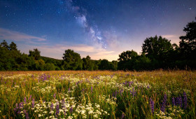 Alle Sternzeichen: Das Horoskop für Juli 2025