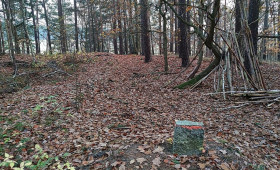 Sommerfest lockt in die Waldstation Eilenriede