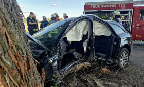 Gifhorn: Schwerer Unfall an der Kreisgrenze - Audi kracht gegen Baum
