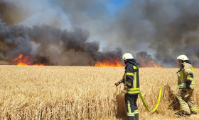 Flächenbrand in Helmstedt: Einsatz für die Feuerwehr