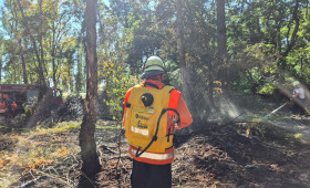 Waldbrand in Gifhorn – zwei Einsätze innerhalb von 24 Stunden
