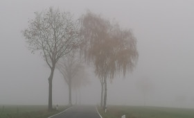 Herbstblues: Diese Tipps helfen gegen die trübe Stimmung
