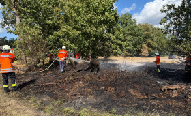 Flächenbrand in Meinersen: Schneller Einsatz verhindert Schlimmeres