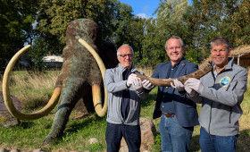 Eiszeit-Relikt im Salzgittersee: Taucher finden Mammut-Stoßzahn