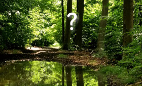 Zauber der Natur: Besondere Tiere faszinieren Elm-Besucher bei Königslutter