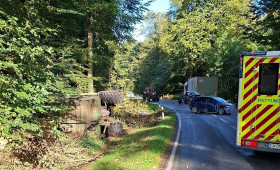 81-Jähriger bei Unfall auf der L117 bei Bad Bederkesa leicht verletzt
