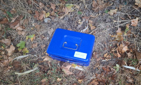 Westerholz: Polizei sucht Eigentümer einer Geldkassette