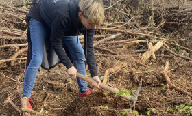 Waldbaden und Baumpflanzaktion: Das bieten die sechsten Harzer Klimatage
