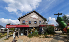 Wilde Walderlebnisse mit dem Nationalpark Harz in den Herbstferien