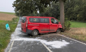 Baumunfall auf der L 493 bei Bockenem fordert eine schwerverletzte und zwei leichtverletzte Personen