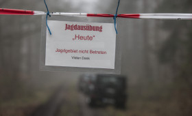 Großflächige Jagd am Samstag im Kreis Gifhorn: Bundesstraße wird gesperrt