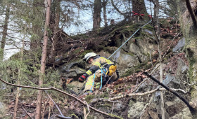 Spektakuläre Rettung in Goslar: Hund wird aus acht Metern Höhe befreit