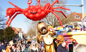 Braunschweiger Karneval: Motto für den Schoduvel 2027 gesucht