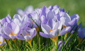 Schufa, Rente, E-Scooter: Das bringt der März