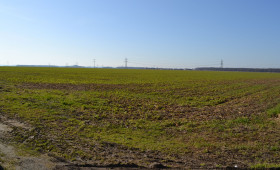 „Vechelde-West“: Aktueller Planungsstand wird vorgestellt 